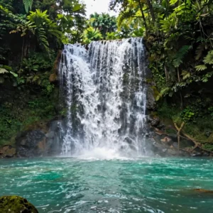 Tour Ecoturístico y Naturaleza